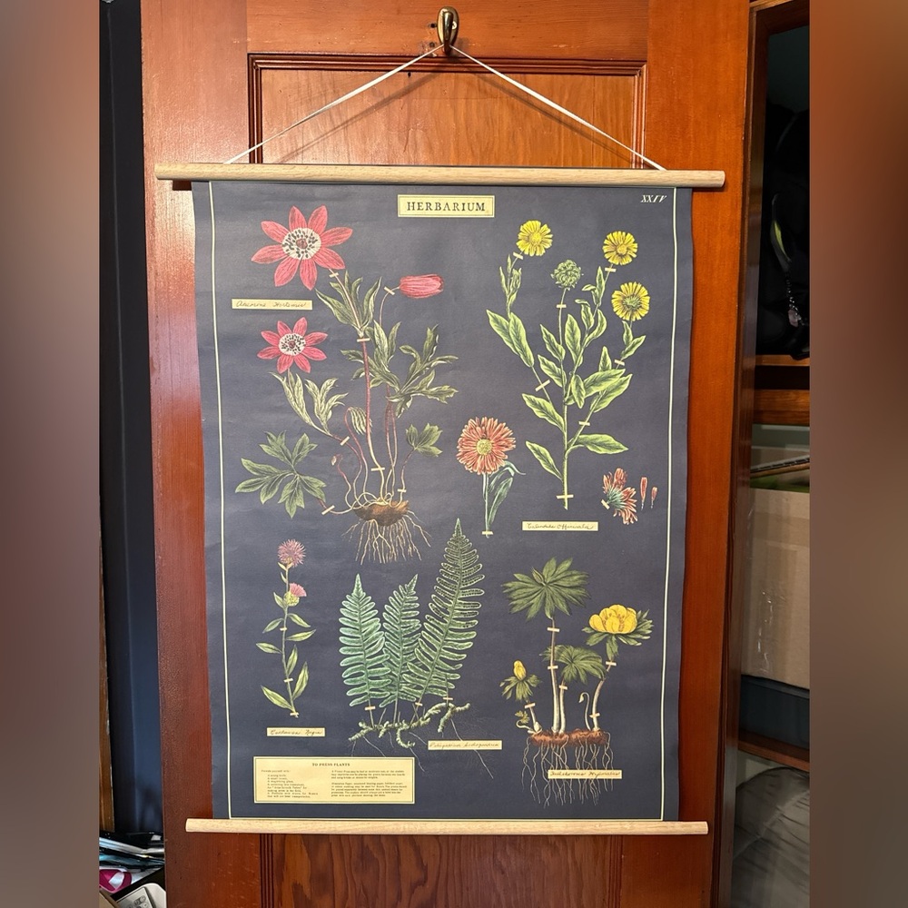 Herbarium Hanging Wall Art with Wooden Frame
